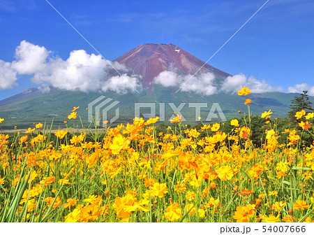 山中湖花の都公園からの風景-77952 54007666