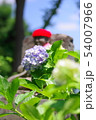 お地蔵様と紫陽花の花 54007966