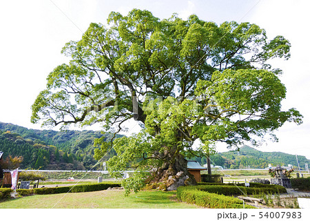 佐賀 54007983