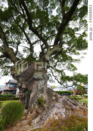 佐賀 佐賀 54008001