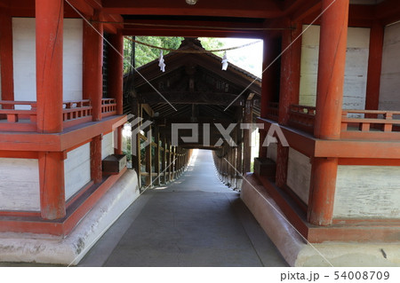 吉備津神社廻廊　国宝　岡山県　岡山市 54008709