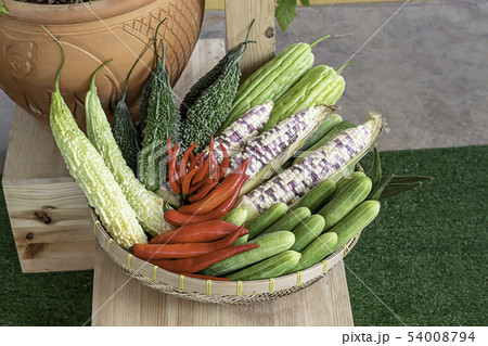 Vegetables in Thailand Cucumber , Corn and Bitter. Vegetables in Thailand Cucumber , Corn and Bitter. 54008794