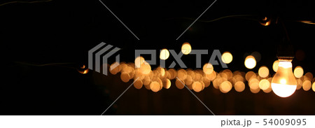 ロマンチックな電球の光 54009095