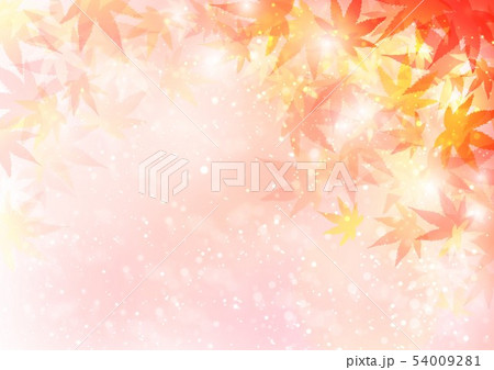 背景秋色キラキラ紅葉 54009281