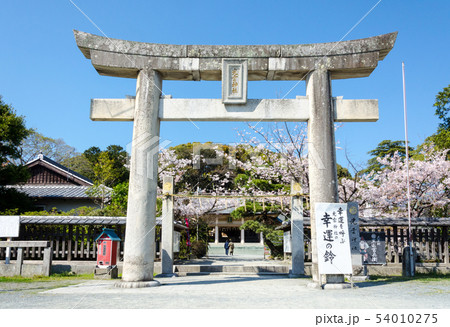 光雲神社鳥居 光雲神社鳥居 54010275