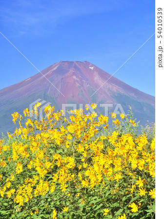 忍野村からの風景-77911 54010539