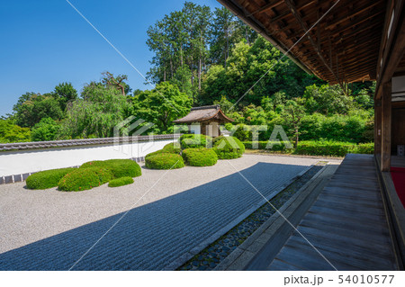 京都　正伝寺（しょうでんじ）の庭園　新緑 54010577