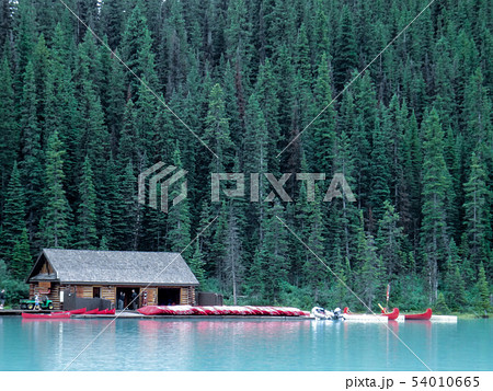 カナダ 林 森 54010665