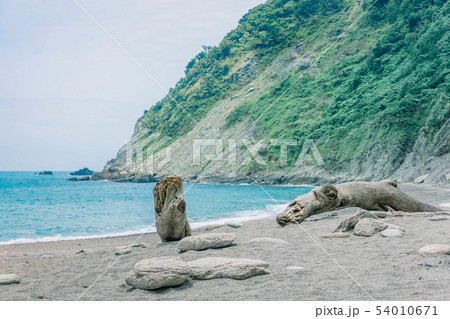 海 海事 海軍 54010671