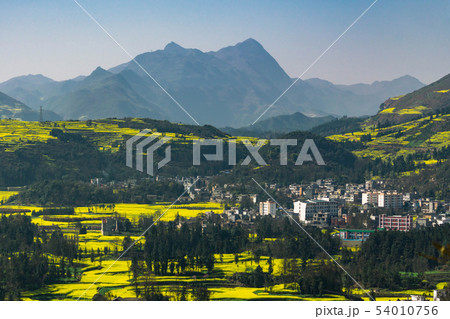 Small villages with Rapeseed flowers at Snail farm 54010756