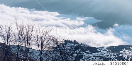 Panoramic  view of Terraced rice fields of 54010804