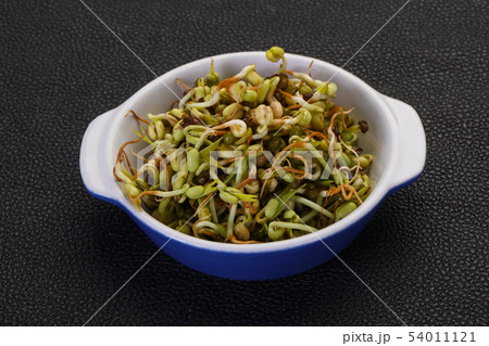 Mash bean sprout 54011121