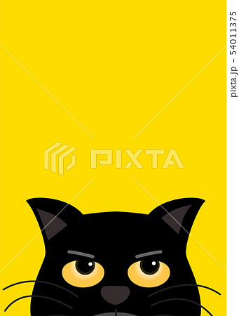 Black Cat With Yellow Eye Look Up On Yelloのイラスト素材