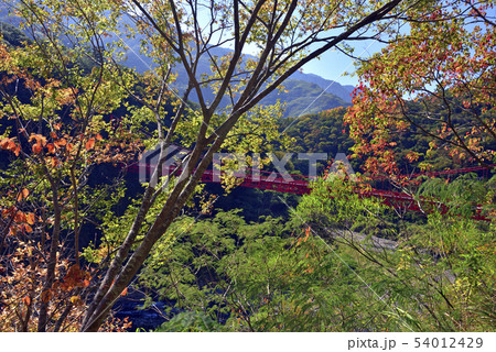 橋 ブリッジ 橋梁 54012429