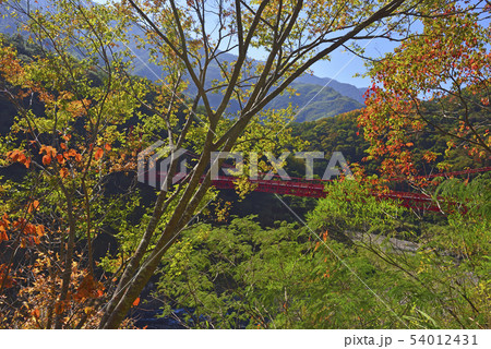 橋 ブリッジ 橋梁 54012431