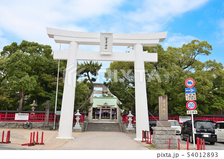 唐津市　風景　唐津神社 54012893