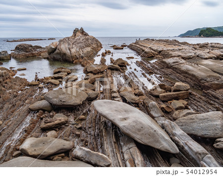 高知県 土佐清水市 竜串海岸 高知県 土佐清水市 竜串海岸 54012954