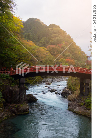 Shinkyo bridge with water stream in autumn forest Shinkyo bridge with water stream in autumn forest 54012965