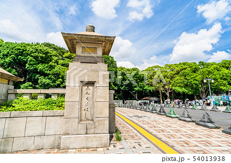 東京　原宿　神宮橋の風景 54013938