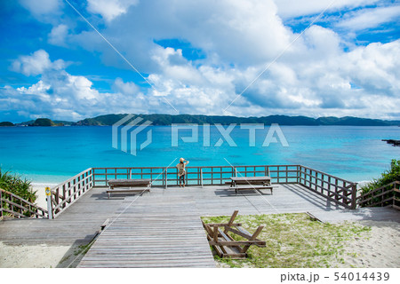 沖縄 古座間味ビーチのサンデッキ 海を眺める女性 沖縄 古座間味ビーチのサンデッキ 海を眺める女性 54014439