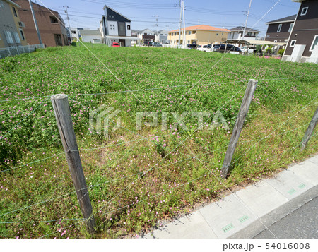 住宅街の空き地 54016008