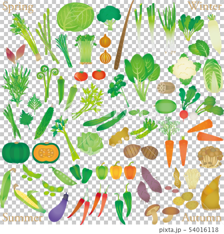 Set gradient of vegetables 54016118