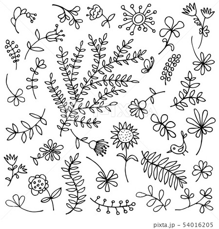 Sketch of floral elements for your design Sketch of floral elements for your design 54016205