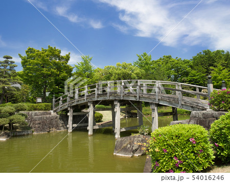 埼玉県　花田苑 54016246