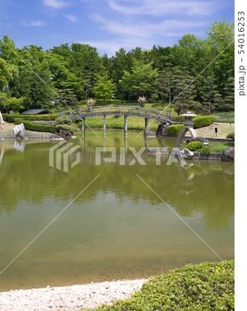 埼玉県　花田苑 54016253