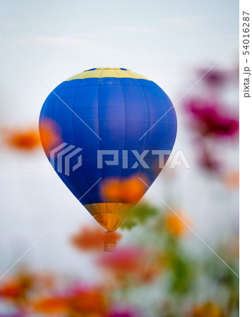 Colourful hot air balloon flying at Singh Park Colourful hot air balloon flying at Singh Park 54016287
