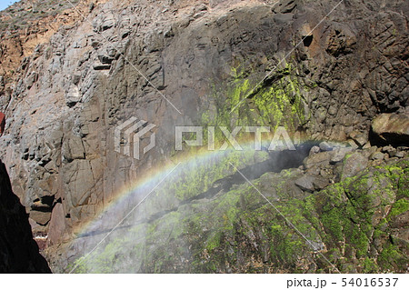 潮吹き岩　（メキシコ） 54016537