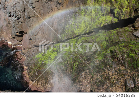 潮吹き岩　（メキシコ） 54016538