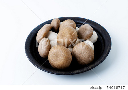 大黒本しめじ 54016717