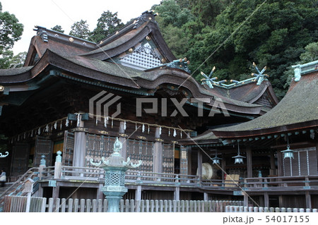 金刀比羅宮御本宮 金刀比羅宮御本宮 54017155