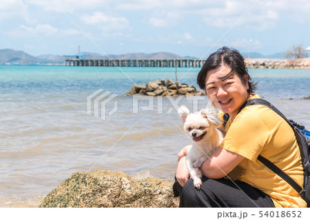 Dog happy fun on rocky beach when travel at sea 54018652