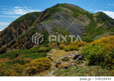 南アルプス  上河内岳　（聖平方面登山道から望む） 54019444