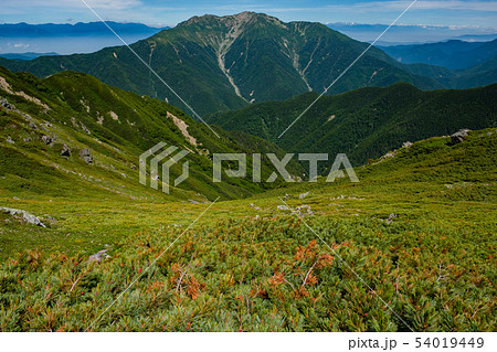 南アルプス 仙丈ヶ岳 (北岳から望む) 南アルプス 仙丈ヶ岳 (北岳から望む) 54019449