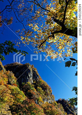 中間道から見る紅葉の妙義山・白雲山 54019694