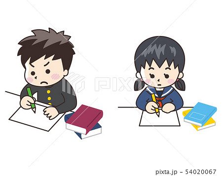 勉強する中高生の男女 54020067