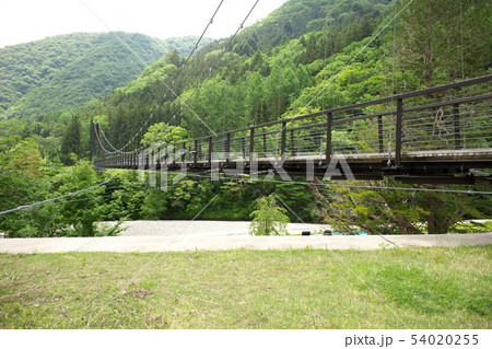水の郷大吊橋 水の郷大吊橋 54020255