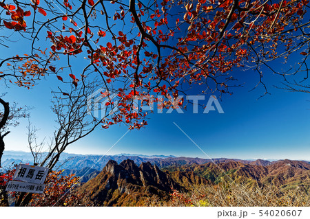 紅葉の相馬岳から見る妙義山の岩峰群 54020607