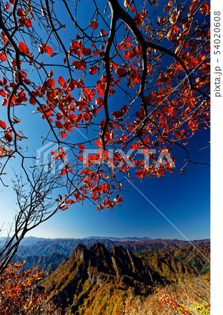 紅葉の相馬岳から見る妙義山の岩峰群 紅葉の相馬岳から見る妙義山の岩峰群 54020608