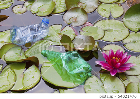 plastic bottle lake water lily plastic bottle lake water lily 54021476