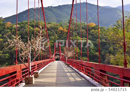 橋 ブリッジ 橋梁 54021715