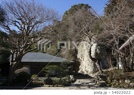 北鎌倉浄智寺にて 54022022