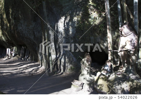 北鎌倉浄智寺にて 北鎌倉浄智寺にて 54022026