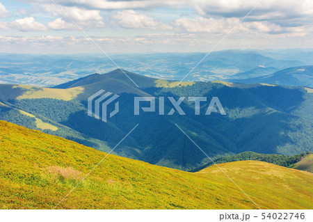 sunny summer landscape in mountains 54022746