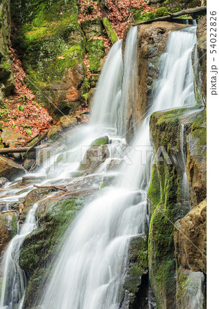 beautiful forest waterfall scenery beautiful forest waterfall scenery 54022826