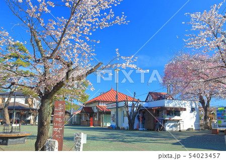 【埼玉県】桜満開の長瀞駅 54023457