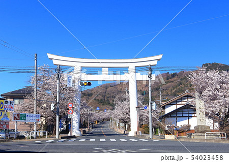 【埼玉県】宝登山神社参道の桜 【埼玉県】宝登山神社参道の桜 54023458